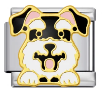 Charm Italiano Perro Terrier Bicolor