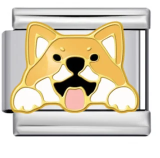 Charm Italiano Perro Shiba Inu Bicolor